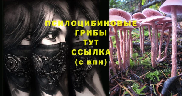 твердый Няндома