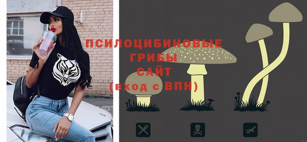 дурь Нязепетровск
