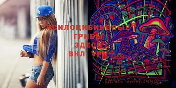 твердый Няндома