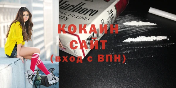 твердый Няндома