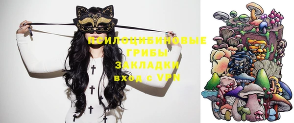шишки Нягань