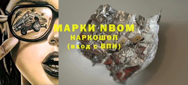твердый Няндома