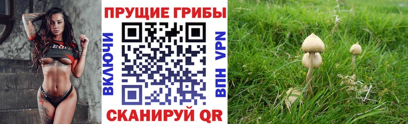 Псилоцибиновые грибы прущие грибы кракен ссылки Александров