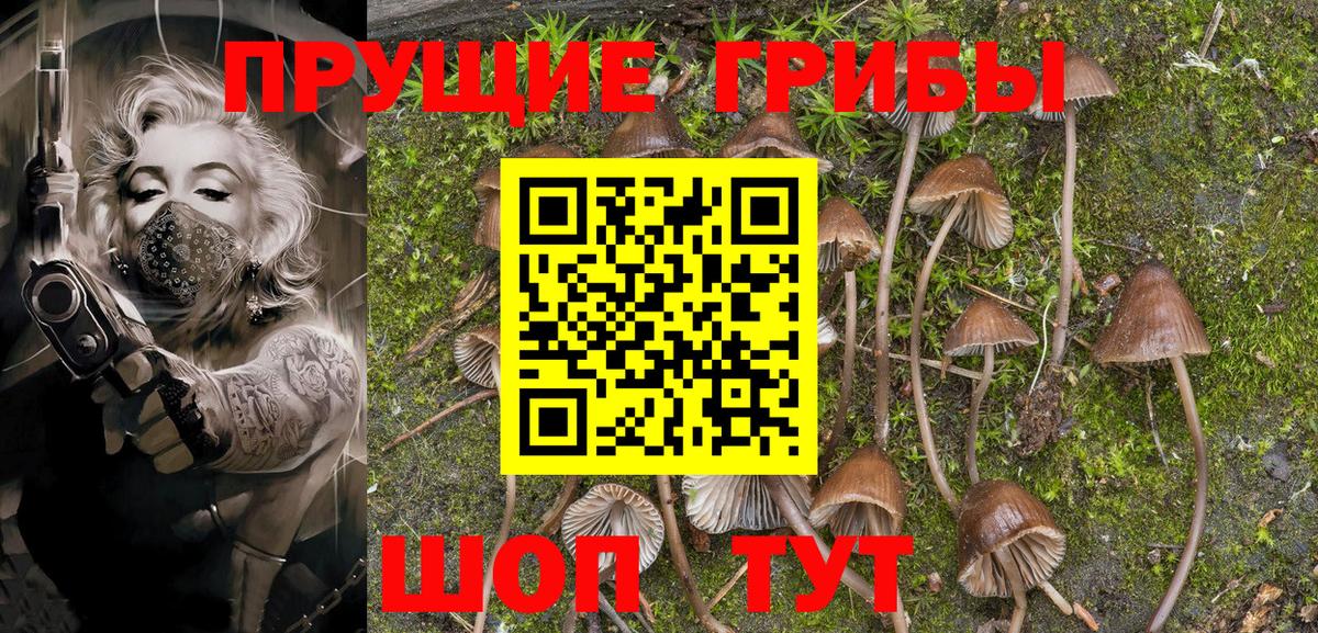 Галлюциногенные грибы Psilocybe  Вход с VPN  где купить   Александров 