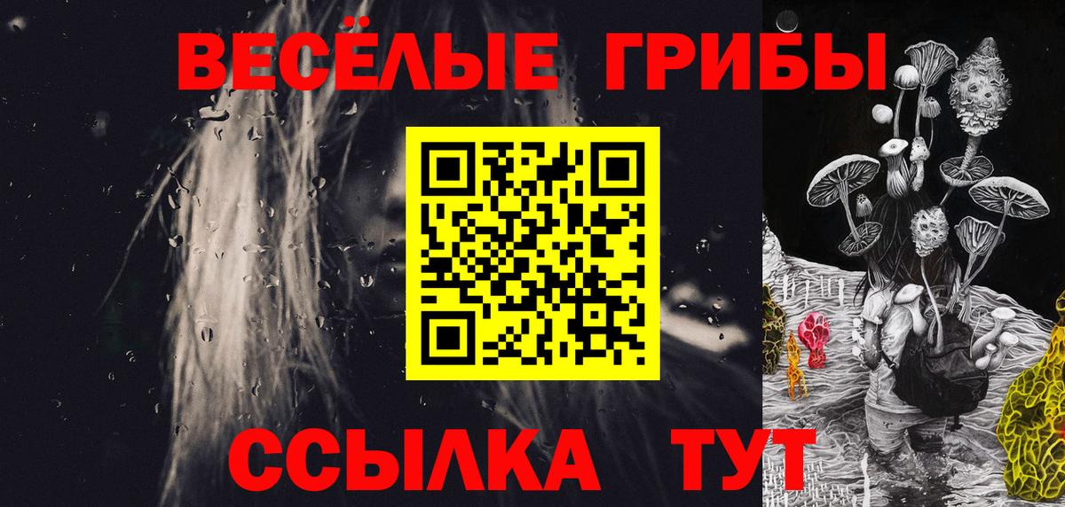 Галлюциногенные грибы прущие грибы Александров