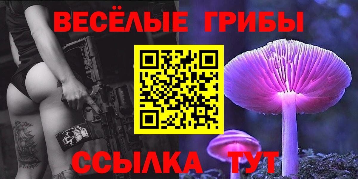 Псилоцибиновые грибы Cubensis  Александров  наркотики  Галлюциногенные грибы Psilocybine cubensis 