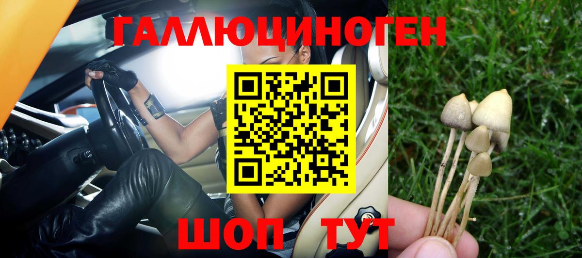 Хэш  Александров  Альфа-ПВП  Cocaine  Марки  Меф  Вход с VPN  Каннабис 