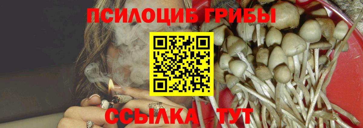 Галлюциногенные грибы Cubensis  хочу   Александров  Вход с VPN 